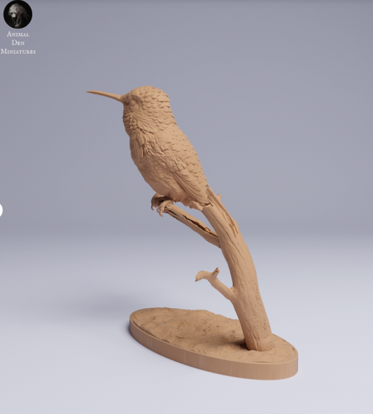 Kolibri sitzt auf Ast von Animal den miniatures als 3D Druck