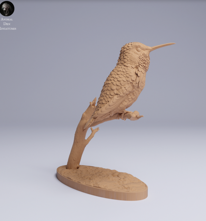 Kolibri sitzt auf Ast von Animal den miniatures als 3D Druck