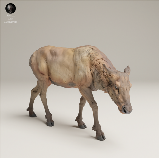 Rocky Mountain Elk Cow by Animal den Miniatures