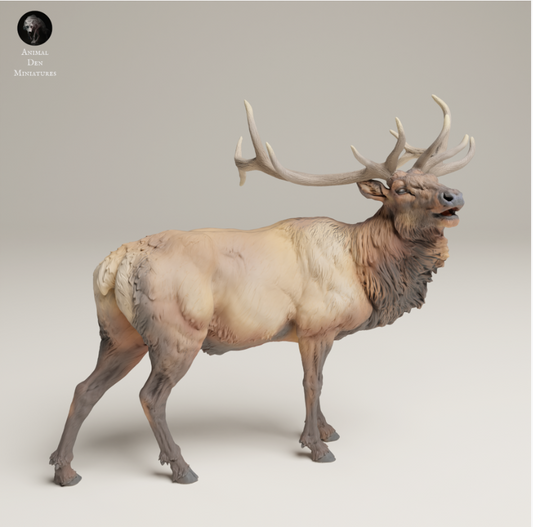 Rocky Mountain Elk from Animal den miniatures as 3D print