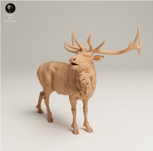 Rocky Mountain Elk from Animal den miniatures as 3D print