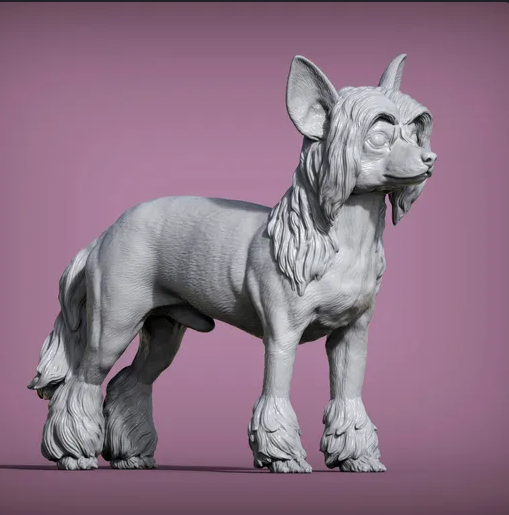 Chinesischer Schopfhund von Akuzmenko