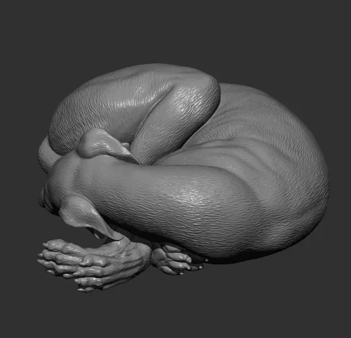 Whippet endormi par Azukmenko