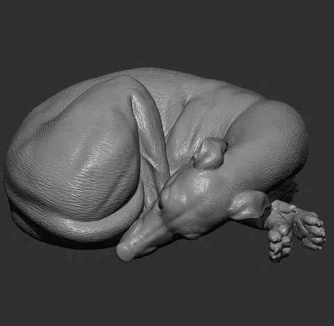 Whippet endormi par Azukmenko