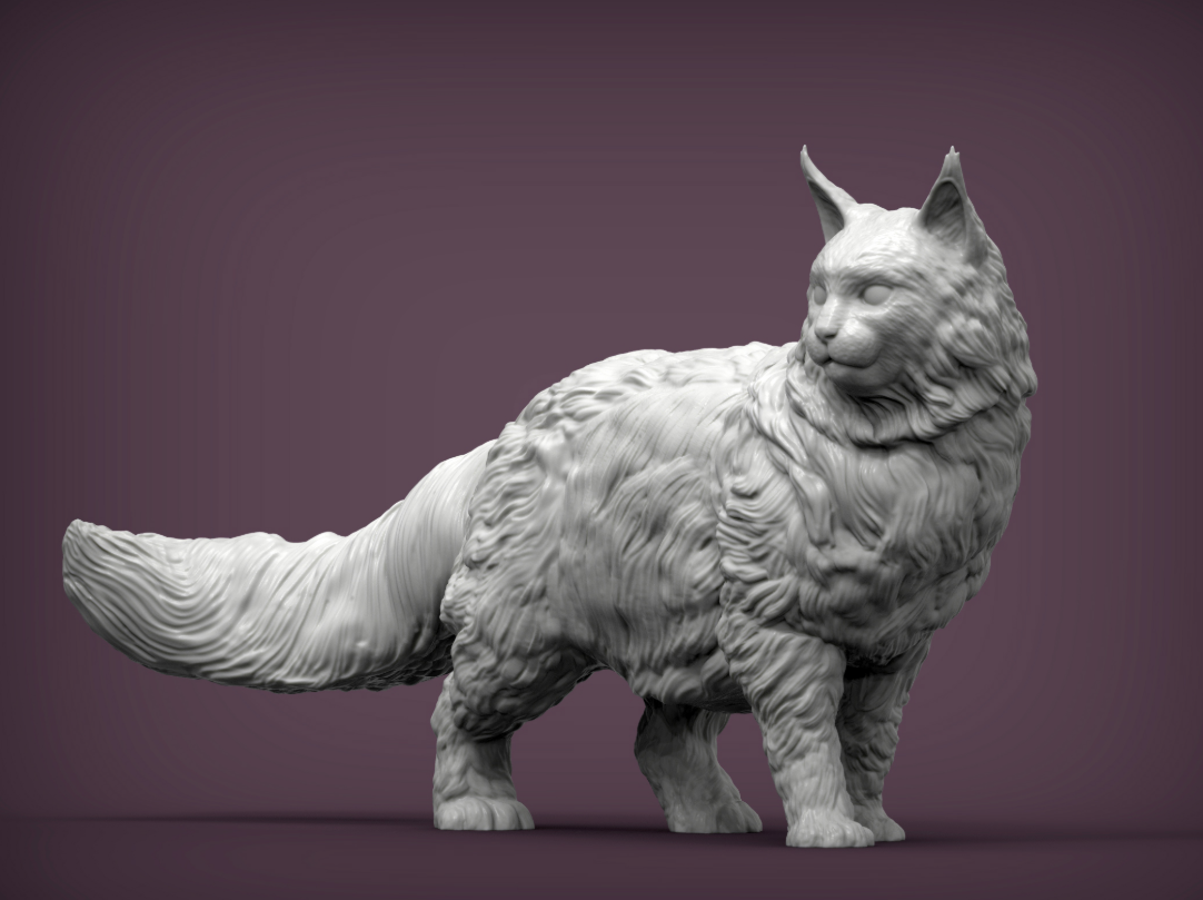 Maine Coon cat looks to the side of Azukmenko as 3D print