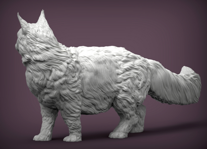 Maine Coon cat looks to the side of Azukmenko as 3D print