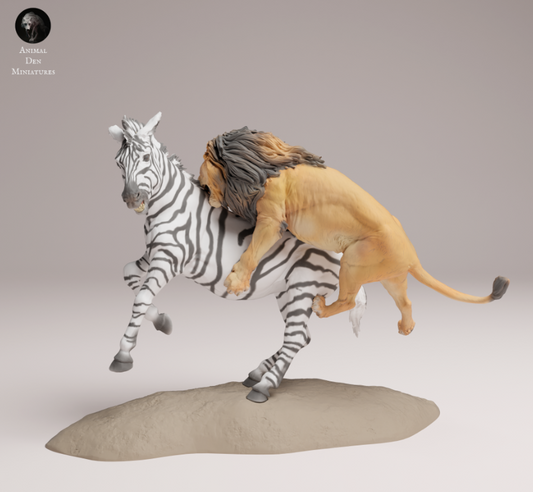 Löwe greift Zebra an von Animal den miniatures als 3D Druck