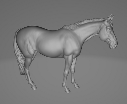 Shiner von PrintedPonies / Spendenaktion für Pferd Shiner