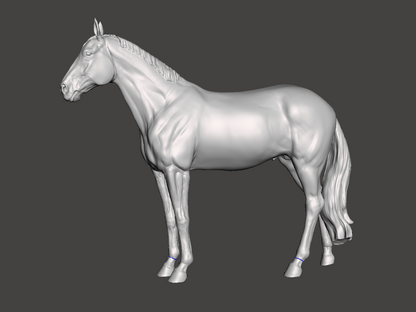 Warmblut Hengst "Delling" von mccustomstudio / In Zusammenarbeit mit mccustomstudio