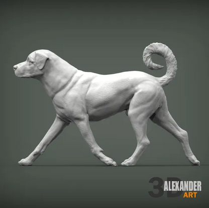 Anatolischer Hirtenhund von Alexander3dArt