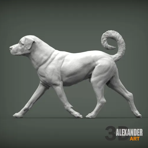 Anatolischer Hirtenhund von Alexander3dArt