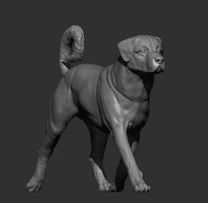 Anatolischer Hirtenhund von Alexander3dArt