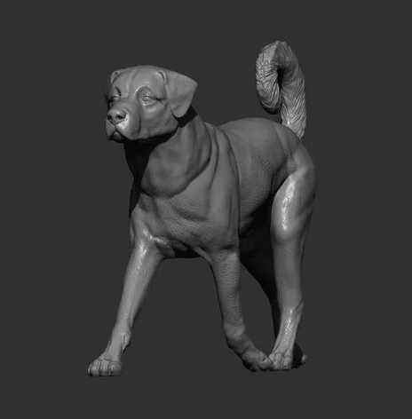 Anatolischer Hirtenhund von Alexander3dArt