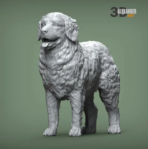 Berner Sennenhund von Alexander3dArt