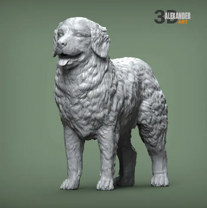 Berner Sennenhund von Alexander3dArt