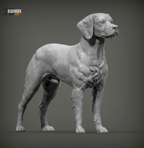 Epagneul Breton von Alexander3dArt