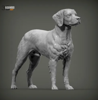 Epagneul Breton von Alexander3dArt