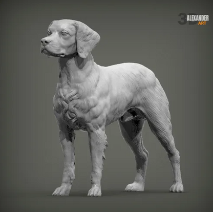 Epagneul Breton von Alexander3dArt