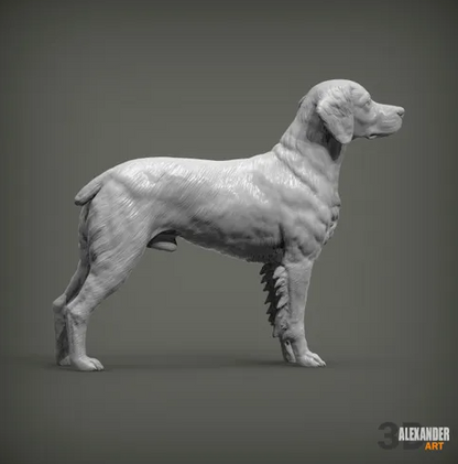 Epagneul Breton von Alexander3dArt