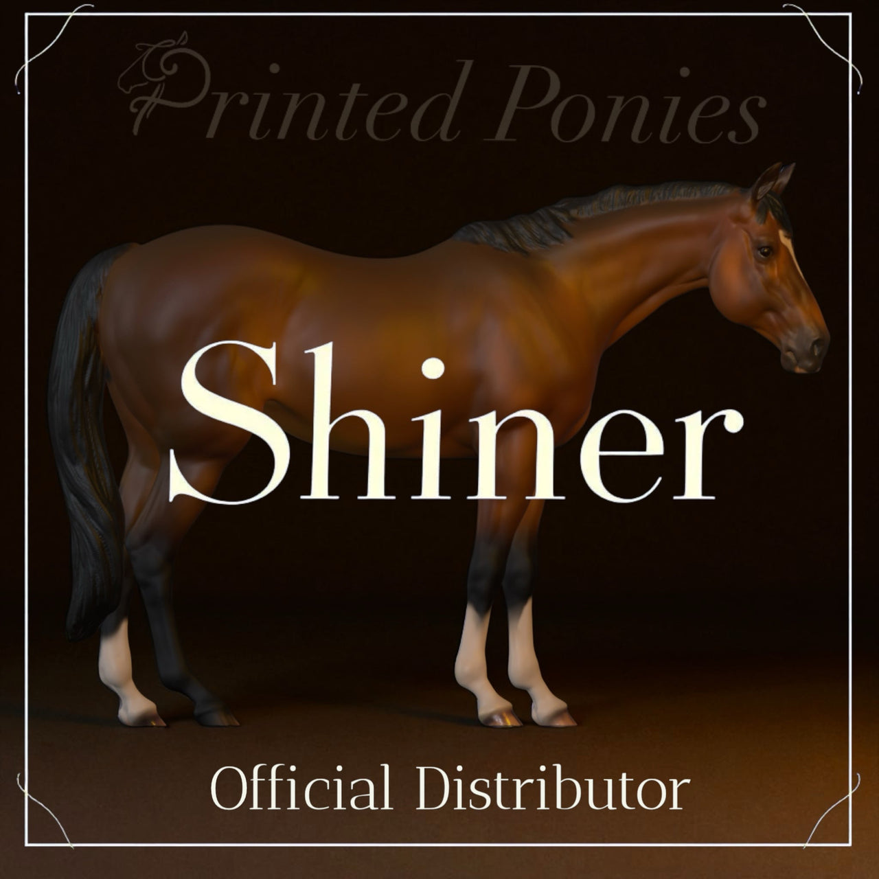 Shiner by PrintedPonies / Fundraising campaign for horse Shiner