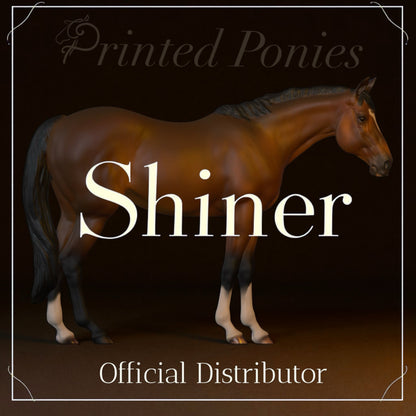 Shiner von PrintedPonies / Spendenaktion für Pferd Shiner