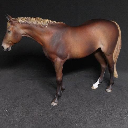 Shiner par PrintedPonies / Collecte de fonds pour le cheval Shiner