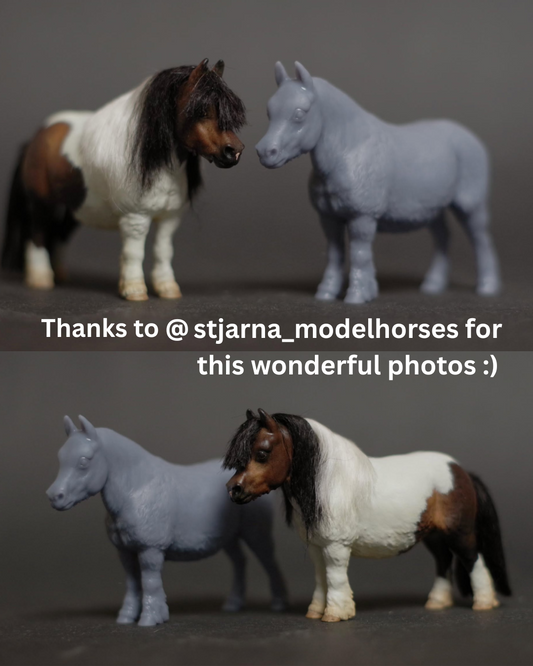 Poney Shetland Merry / Corps brut pour la coiffure par Bexbee Studios