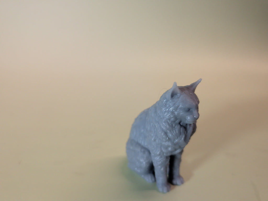 A-ware Nr. 41 Größe 1:9 - Waldkatze Marv