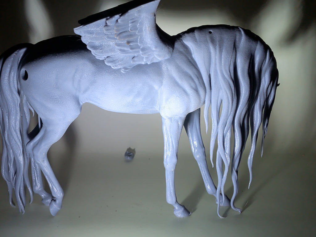 No. 19 B-Stock Size 1:9